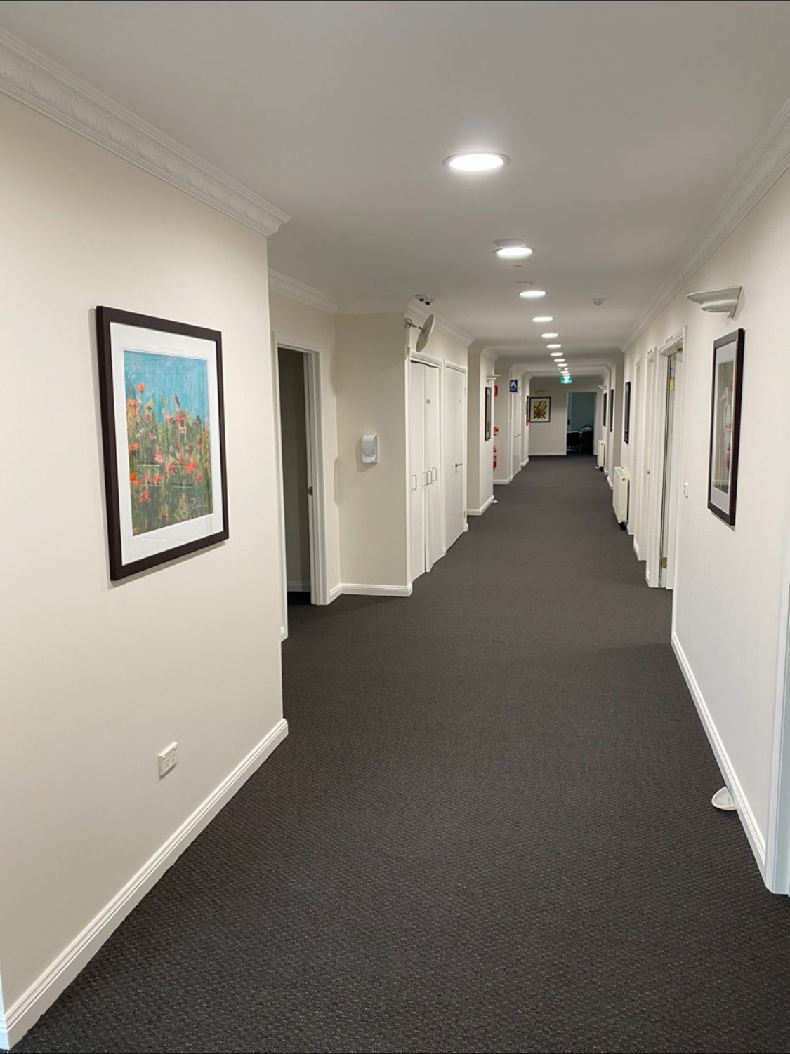Unit Complex & Strata Painting